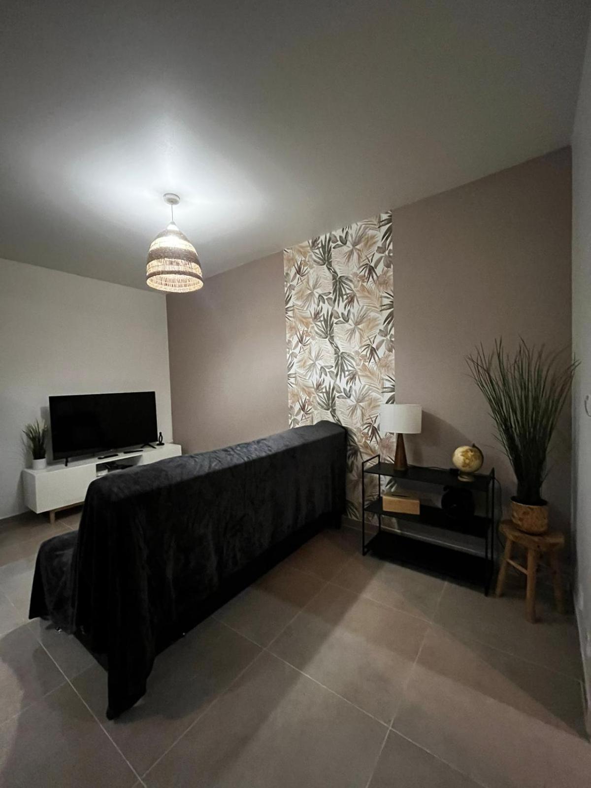 נים Appartement Des Carmes מראה חיצוני תמונה
